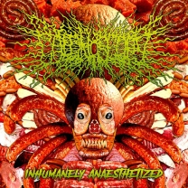 COLONOSCOPY - CD - Inhumanely Anaesthetized