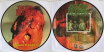 DEAD INFECTION - Picture 12'' LP - A Chapter Of Accidents