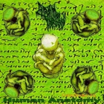 DRAIN OF IMPURITY - CD - Human Anatomy DRAIN OF IMPURITY - CD - Human Anatomy