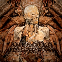 INFECTED DISARRAY - 12'' LP - Disseminating Obscenity