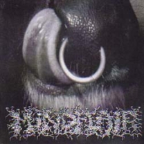 MINDFLAIR / RUNNING GUTS - Cardboard split CD - (2nd Hand) MINDFLAIR / RUNNING GUTS - Cardboard split CD - (2nd Hand)