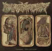 PHARMACIST - 10'' LP - Carnal Pollution PHARMACIST - 10'' LP - Carnal Pollution