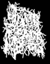 SATAN'S REVENGE ON MANKIND - full Logo - Gedruckter Aufnäher SATAN'S REVENGE ON MANKIND - full Logo - Gedruckter Aufnäher