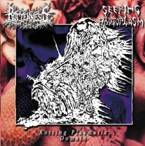 SEEPING PROTOPLASM / ROTTENNESS - split CD - Rotting Plasmatic Domain SEEPING PROTOPLASM / ROTTENNESS - split CD - Rotting Plasmatic Domain