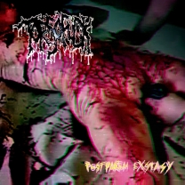 TORSOFUCK - 12'' LP - Postpartum Exstasy