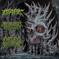 VA: International Solidification - w. Gape / Displeased Disfigurement / Existential Dissipation - 3-Way Split CD - VA: International Solidification - w. Gape / Displeased Disfigurement / Existential Dissipation - 3-Way Split CD -