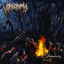VITRECTOMY - CD - Unconvincing Veracity