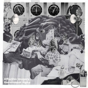 AFFECTIVE IMAGERY - GOVERNMENT ALPHA - split CD -