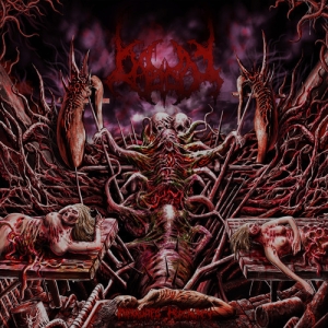 BIGOT - MCD - Interrupted Pregnancy