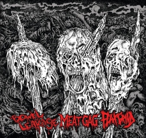 BOWEL LEAKAGE / MEAT GAG / FLAX - split CD -