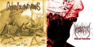 CHOKED BY OWN VOMITS / NARCOLEPTIC -CD Split-