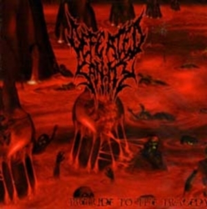 DEFEATED SANITY - CD - Prelude to the Tragedy