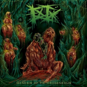 ENTRENCHED INGURGITATION -CD- Genesis of Heterogeneous