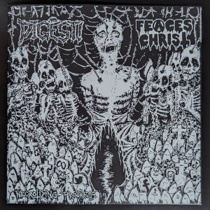 FEACES CHRIST / DIGEST! - split 7'' EP - Necrotizing Progress