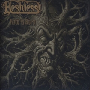 FLESHLESS - CD Digipak - Hate Is Born