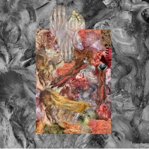 GOLEM OF GORE / LIPOMA - split CD - The Stench Of Organs And Purulence Rapidly Decomposing