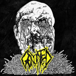 GORUPTED - CDr - Gorupted