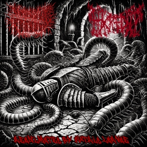 HACKED UP / DESECRATED EXTINCTION - split CD - Reanimated by Putrid Larvae