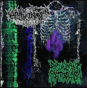 HALLUCINATION REALIZED / REDUNDANT PROTOPLAM - split CD -