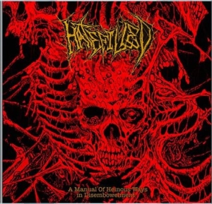 HATEFILLED - 12'' LP - Violent Disembowelment Of Hatred