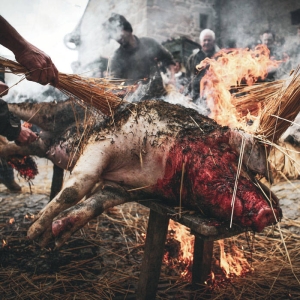 HOLOCAUSTO CANIBAL - CD - Crueza Ferina