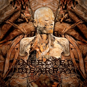 INFECTED DISARRAY - 12'' LP - Disseminating Obscenity