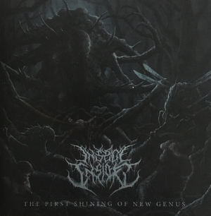 INSECT INSIDE - CD - The First Shining Of New Genus