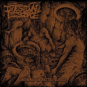 INTESTINAL DISGORGE - 12'' LP - Drowned In Rectal Sludge (black Vinyl)