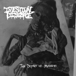 INTESTINAL DISGORGE - CD - The Depths of Madness