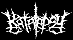 KATALEPSY - Logo - Printed Patch