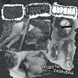 LIQUID VISCERA / EGGGORE / LIPOMA - 3 way split CD -