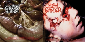 LYMPHATIC PHLEGM / FLESH GRINDER - Split 12'' LP - Malignant Cancerous Tumour In The Epithelial Tissue Of The Intestine / From Rotten Process... To Anatomy