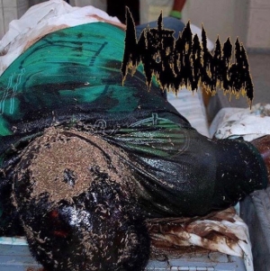 METORRHAGIA - CD - Metrorrhagia