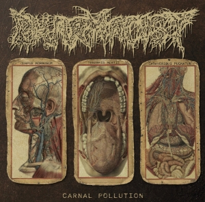PHARMACIST - 10'' LP - Carnal Pollution
