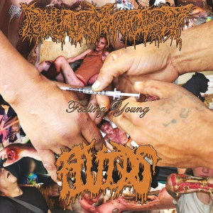 PHARMACIST / FLUIDS - split CD -