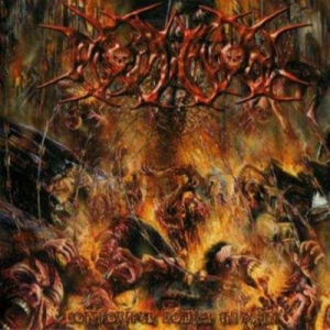 PROFANATION (GER) - CD - Contorted Bodies In Pain