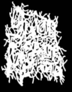 SATAN'S REVENGE ON MANKIND - full Logo - Printed Patch