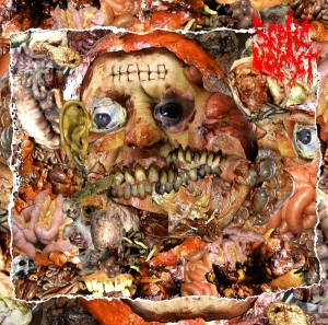SEPTIC VOMET - CD - Real Life Insanity