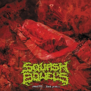 SQUASH BOWELS - CD - The Mass Rotting