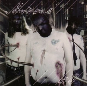 TO SEPARATE THE FLESH FROM THE BONES - CD - Utopia Sadistica