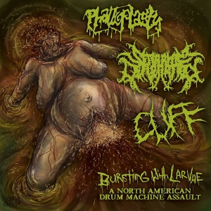 V/A: "Bursting With Larvae" -split CD- PHALLOPLASTY / SERAPHIM DEFLORATION / CUFF