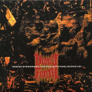 VOMIT FORCE - 12'' LP - Seething Malevolence