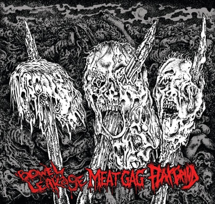 BOWEL LEAKAGE / MEAT GAG / FLAX - split CD -