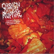 CAPSAICIN STITCH RUPTURE - CD - Post CPS Ingestion Disastrous Processes in Digestive Tract
