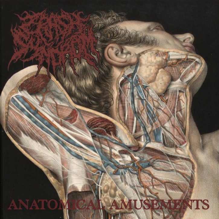 CRASH SYNDROM - MCD - Anatomical Amusements