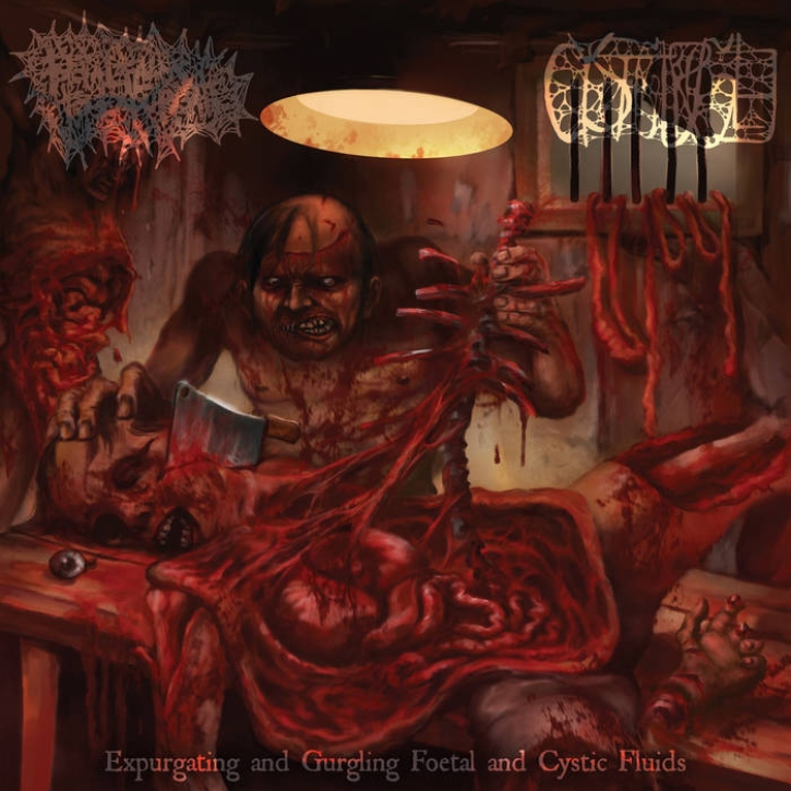 CYSTGURGLE / FOETAL FLUID TO EXPLODE - split CD -