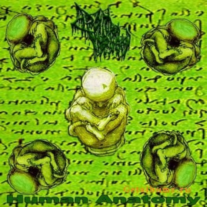 DRAIN OF IMPURITY - CD -  Human Anatomy