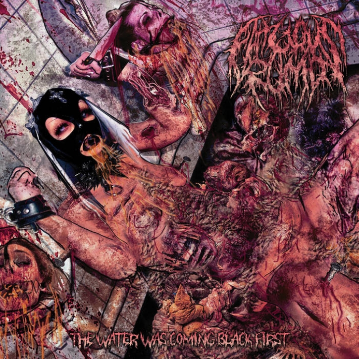FATUOUS RUMP - CD - The Water Was Coming Black First