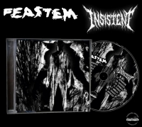 FEASTEM / INSISTENT - split CD -