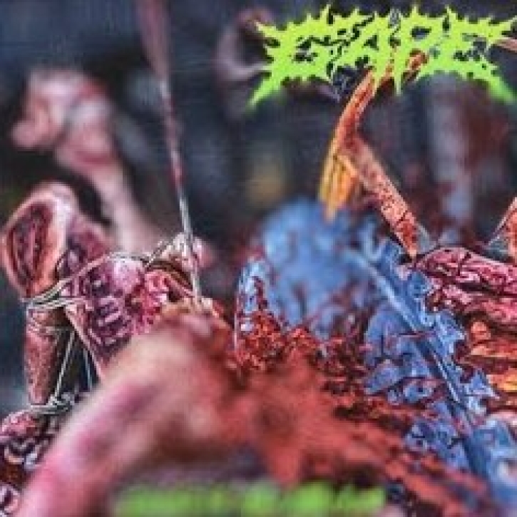 GAPE - CD - Exploit the Moist (re-issue with new cover)